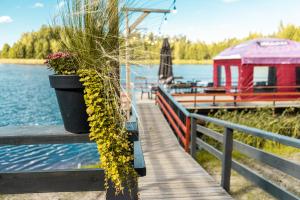 Kempings Bejas في Babīte: رصيف خشبي مع الزهور على البحيرة