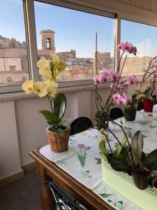 Fotografia z galérie ubytovania Il Piccolo Attico v destinácii Caltagirone