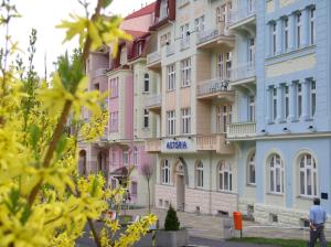 a row of pink and blue buildings on a street at Hotel Astoria in Jáchymov