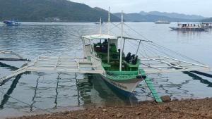 a green and white boat docked in the water at NaturesWay/TRAVELCORON in Coron