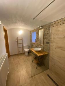 La salle de bains est pourvue d'un lavabo et d'une douche en verre. dans l'établissement Statek Žíšov, à Žíšov