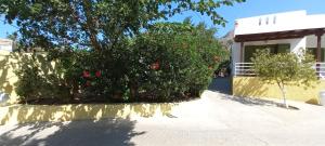 A garden outside Leros Eleonas ApartmentS