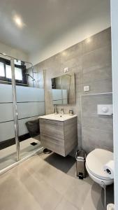 łazienka z umywalką i toaletą w obiekcie N1 Maison T2 climatisé w Ajaccio +2 zdjęcia