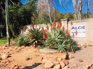 Giardino di Aloe Guesthouse Klerksdorp