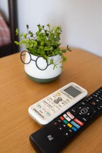 a remote control with glasses next to a potted plant at Elia mini suites 5 in Larisa