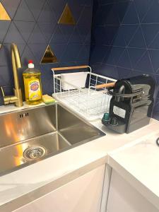 a kitchen sink with a drying rack next to it at Appartement Vincennes proche métro 15 minutes Marais in Vincennes