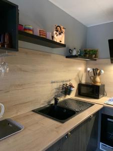 a kitchen counter with a sink and a microwave at Rose côté Mer studio et garage, entrée autonome in La Grande-Motte