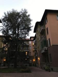un árbol en medio de una calle con edificios en Appartamento in zona Bocconi, en Milán