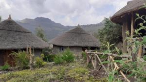 ラリベラにあるBethan Amba ecovillageの山々を背景にした茅葺き屋根の小屋2棟