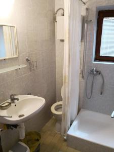 a bathroom with a sink and a toilet and a shower at Apartmani Diego in Sveta Nedelja