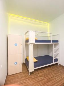 バニュワンギにあるROOM Ijen Hostelの二段ベッド2組が備わる二段ベッド付きの客室です。
