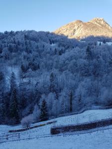 a snowy field with a train in front of a mountain at La Bottega del Drago in Santa Brigida