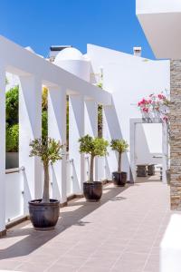 una fila di piante in vaso su un edificio bianco di Ocean View Villa a Boliqueime