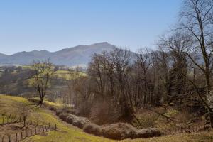 a field with trees and mountains in the background at Maison Pikassariko - 4 Chambres proche frontière espagnole in Sare