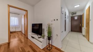 Et tv og/eller underholdning på Four Seasons Apartment - FREE PARKING