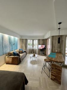 a living room with a couch and a tv at Studio moderne - Port de Mandelieu - Proche Mer in Mandelieu-la-Napoule