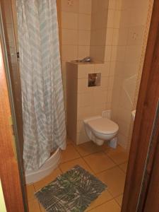 La petite salle de bains est pourvue d'une douche et de toilettes. dans l'établissement Hotelik WARMIA -Pensjonat, Hostel, à Lidzbark Warmiński