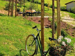 ein Fahrrad, das neben einem Holzpfosten mit Blumen parkt in der Unterkunft Haus Bachmatt in Sasbachwalden