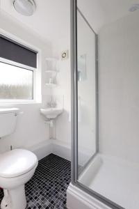 a white bathroom with a toilet and a shower at Cowgate Rest in Norwich