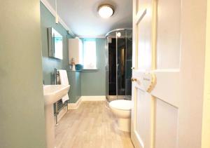 a bathroom with a toilet and a sink at The Georgian Apartment in Gosport