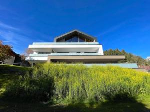 a house on a hill with a grassy field at Lebenskraft-Apartments in Reutte