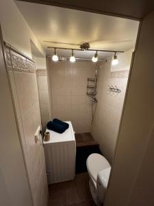 Bilik mandi di Krīvi