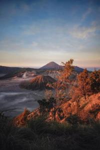 a view of a valley with a mountain in the distance at pandya Bromo in Pasuruan