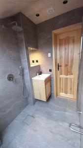 un baño con lavabo y ducha en Apartament Krystynka Giewont, en Poronin
