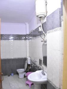 a small bathroom with a toilet and a sink at Hotel Darpan By WB Inn in Jammu