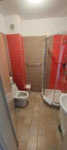 La salle de bains est pourvue de toilettes, d'une douche et d'un lavabo. dans l'établissement Apartments Rtina Benici, à Rtina