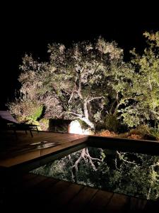 Zdjęcie z galerii obiektu Villa Terra Vecchia, 6 ou 12 personnes, vue imprenable, piscine chauffée w mieście Porto-Vecchio