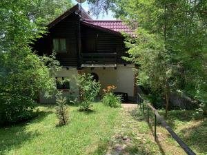 une maison en bois avec un jardin et une cour dans l'établissement Mountain Family Chalet on Prahova Valley, à Comarnic