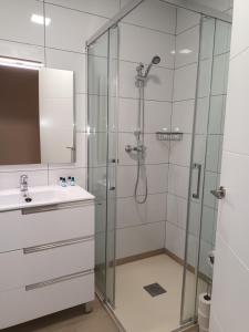 La salle de bains est pourvue d'une douche et d'un lavabo. dans l'établissement La Casona del Eboni, à Alcalá de Henares