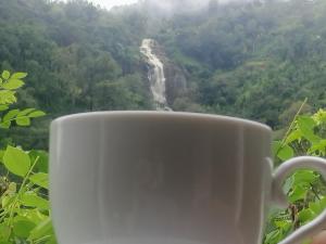 Táj Show homestays közelében