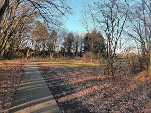 un chemin au milieu d'un champ planté d'arbres dans l'établissement Urlaub nähe Badesee und Strand, à Berumbur