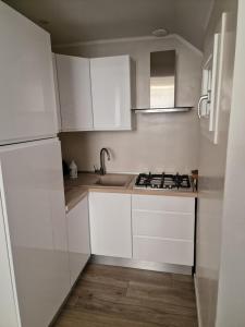een witte keuken met een spoelbak en een fornuis bij Charming and cosy apartment in Bologna