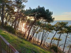 - une vue sur la plage avec des arbres et l'océan dans l'établissement CHEZ CED - Gujan-Mestras / Bassin d'Arcachon, à Gujan-Mestras