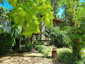 una casa en medio de un patio con árboles en Cabañas Hurra Pampa en Mar de las Pampas