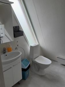 a white bathroom with a toilet and a sink at Karemajat Cottage Resort in Ylitornio