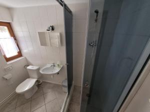 La salle de bains est pourvue d'une douche, de toilettes et d'un lavabo. dans l'établissement Penzión Slnečný dvor, à Zázrivá