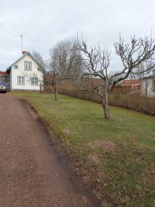 um campo com árvores e uma casa e uma estrada de terra em Mariannelund cottage em Mariannelund