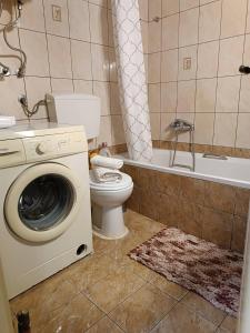 een badkamer met een toilet en een wasmachine bij Stavros Apartments in Artemida