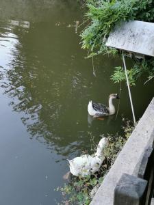 Gallery image of L'atelier de la Conquette in Naucelle