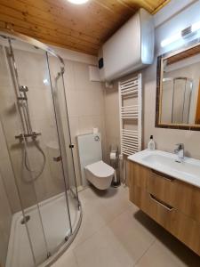 uma casa de banho com um chuveiro, um WC e um lavatório. em Haus Bruna by Globalimmoservice em Bad Kleinkirchheim