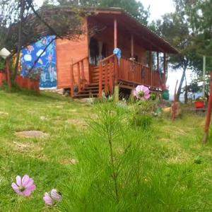 a house in a field with flowers in front of it at Cabaña Sueños Dorados in Guatavita
