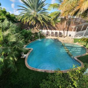 an overhead view of a swimming pool in a yard with palm trees at Appartement S2 in Jan Thiel