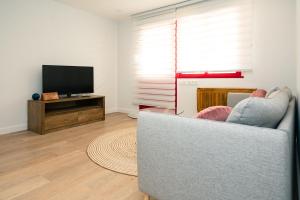 a living room with a couch and a television at URBANIZACION CON PISCINA ARNELAS SANXENXO in Sanxenxo