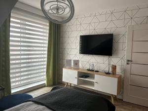 Televízia a/alebo spoločenská miestnosť v ubytovaní Apartamenty Leśna 1