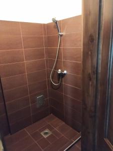 a bathroom with a shower with brown tiles at Tassi Halászcsárda - Sügér ház in Tass