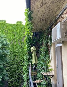 A garden outside Margaret Apartment by the Danube